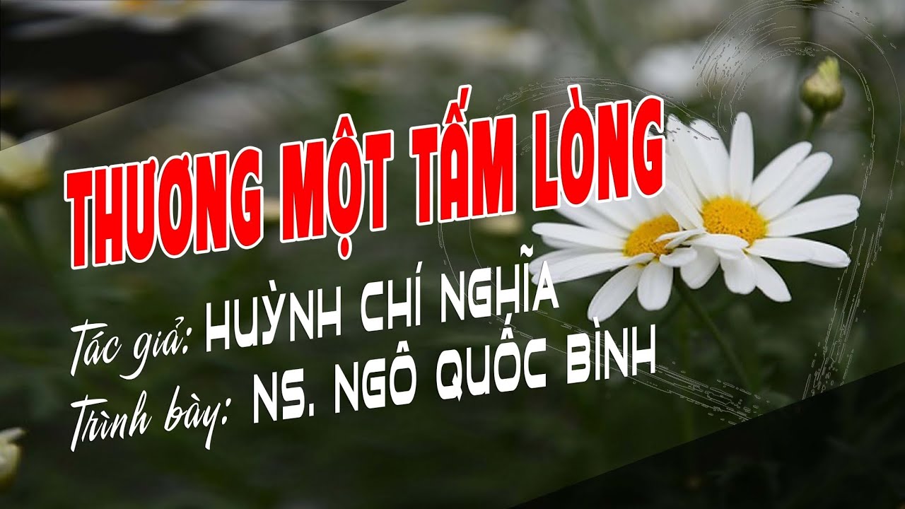 THƯƠNG MỘT TẤM LÒNG